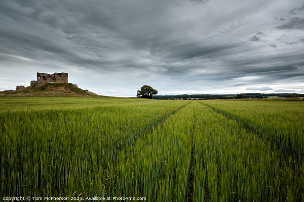 Serene Elegance: Duffus Castle Unveiled Picture Board by Tom McPherson