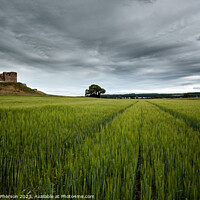 Buy canvas prints of Serene Elegance: Duffus Castle Unveiled by Tom McPherson