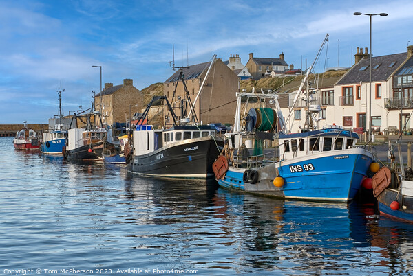 Fishing Boats at Burghead Harbour Picture Board by Tom McPherson
