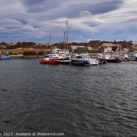 Buy canvas prints of Tranquil Serenity of Hopeman Harbour by Tom McPherson