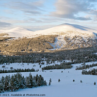 Buy canvas prints of  Snowy Splendor of Cairngorm Mountain by Tom McPherson