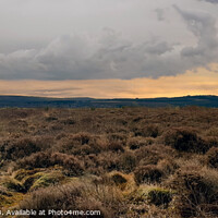 Buy canvas prints of The Fateful Culloden Battlefield by Tom McPherson