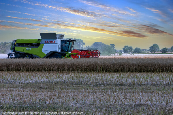 Reaping the Harvest Picture Board by Tom McPherson