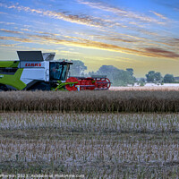 Buy canvas prints of Reaping the Harvest by Tom McPherson
