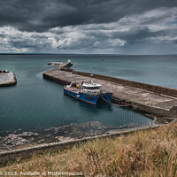 Buy canvas prints of Enchanting Bustle at Burghead Harbour by Tom McPherson