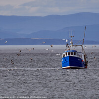 Buy canvas prints of "Serene Dusk: Fishing Boats Adorn the Moray Firth" by Tom McPherson