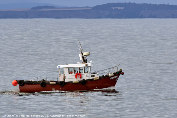 Fishing Boat  working on Moray Firth Picture Board by Tom McPherson