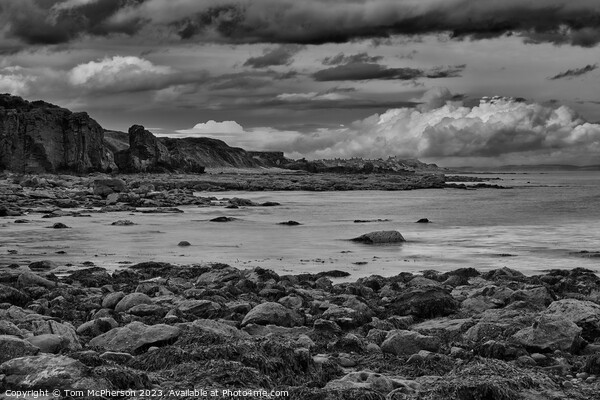 "Sculpted Beauty on the Moray Coast" Picture Board by Tom McPherson