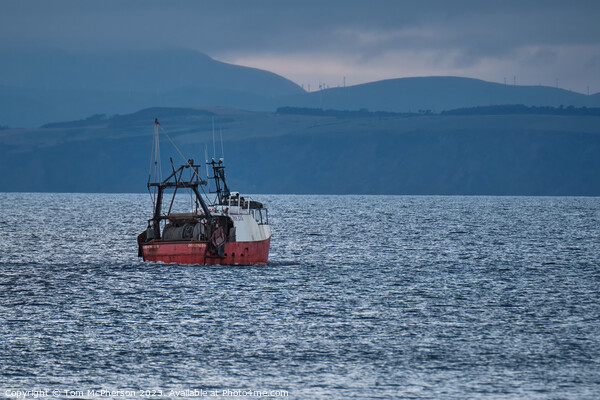 Solitude on the Moray Firth Picture Board by Tom McPherson