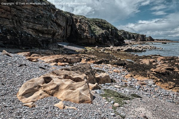 Rocky Beach on Moray Firth Picture Board by Tom McPherson