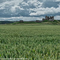 Buy canvas prints of "Sunlit Majesty of Duffus Castle" by Tom McPherson