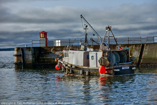 Departure at Dusk: Burghead Harbour Picture Board by Tom McPherson