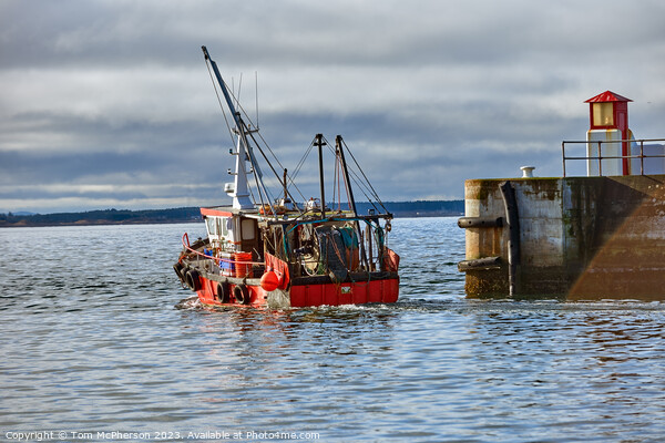 Departure from Burghead Harbour Picture Board by Tom McPherson