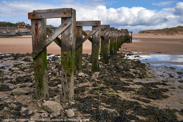 Historic Lossiemouth Bridge: A Silent Witness Picture Board by Tom McPherson