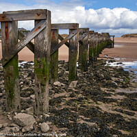 Buy canvas prints of Historic Lossiemouth Bridge: A Silent Witness by Tom McPherson