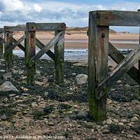 Buy canvas prints of Decaying Relic: Lossiemouth's Old Wooden Bridge by Tom McPherson