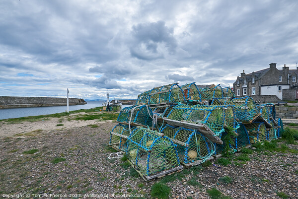 Legacy of Lossiemouth: Historic Harbour Creels Picture Board by Tom McPherson