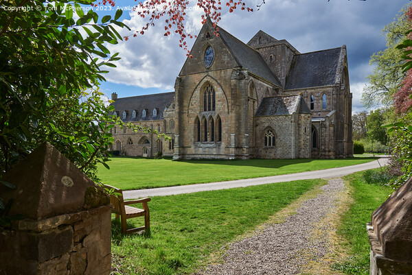 Pluscarden Abbey: Sanctuary of Divine Solitude Picture Board by Tom McPherson