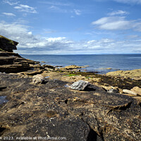 Buy canvas prints of Dolphin's Haven: The Moray Firth by Tom McPherson