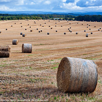 Buy canvas prints of Harvest's Echo in Moray by Tom McPherson