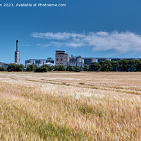 Buy canvas prints of Intriguing Diageo Plant Roseisle History by Tom McPherson