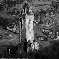 Buy canvas prints of The Stirling Stature of Wallace Monument by Tom McPherson