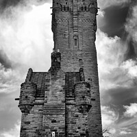 Buy canvas prints of The Wallace Monument Monochrome by Tom McPherson