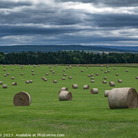 Buy canvas prints of Harvest's Golden Bounty: Hay Bales in Sunlight by Tom McPherson