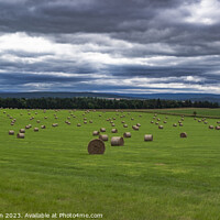 Buy canvas prints of Bountiful Harvest: Sun-Kissed Hay Bales by Tom McPherson
