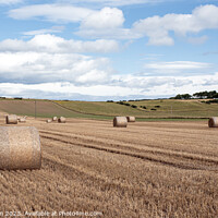 Buy canvas prints of Harvest Echoes in Moray Countryside by Tom McPherson