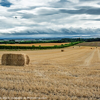Buy canvas prints of Harvest's End: A Moray Field's Story by Tom McPherson