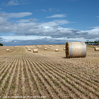 Buy canvas prints of Harvest's Bounty: Hay Bales in Moray by Tom McPherson