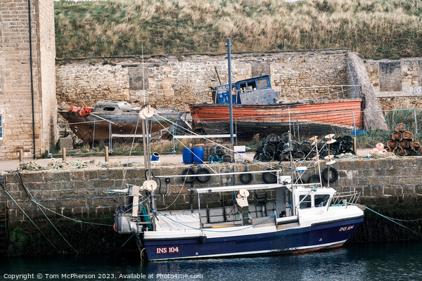 Rustic Harmony at Burghead Harbour Picture Board by Tom McPherson