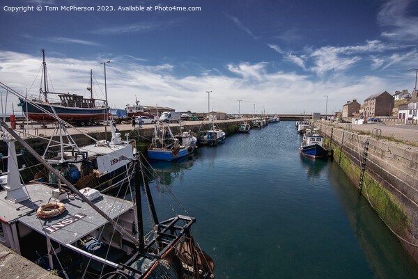 Scenic View of Burghead Harbour Picture Board by Tom McPherson