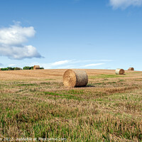 Buy canvas prints of Rustic Harvest Charm: Duffus Countryside by Tom McPherson