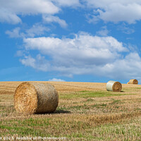 Buy canvas prints of Harvested Hay Bales, Duffus Countryside by Tom McPherson