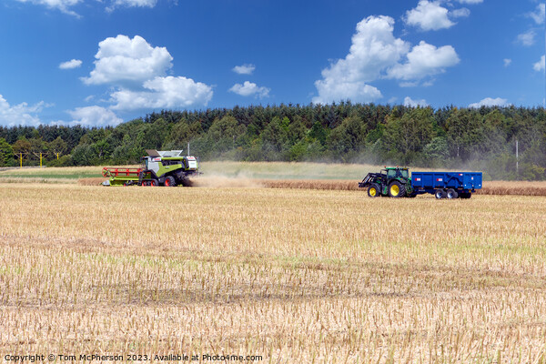 Vibrant Harvest Season in Morayshire Picture Board by Tom McPherson