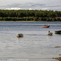 Buy canvas prints of Serenity on Findhorn Bay Waters by Tom McPherson