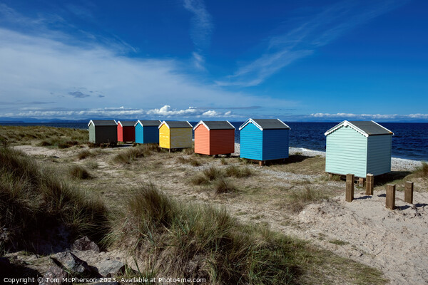 Vibrant Findhorn Beach Huts Picture Board by Tom McPherson