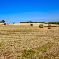 Buy canvas prints of Bountiful Harvest, Lossiemouth Fields by Tom McPherson