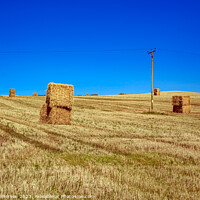 Buy canvas prints of Autumn Gold: Harvest at Lossiemouth by Tom McPherson