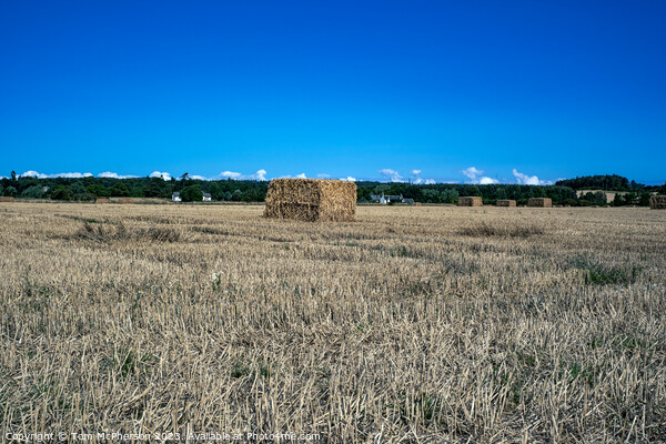 Enigmatic Harvest Bales at Duffus Picture Board by Tom McPherson