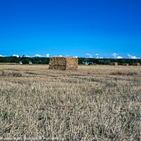 Buy canvas prints of Enigmatic Harvest Bales at Duffus by Tom McPherson