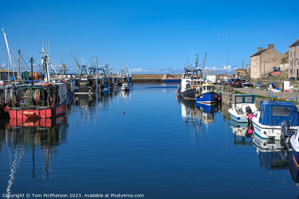 Scottish Haven: Burghead Harbour Picture Board by Tom McPherson