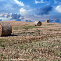 Buy canvas prints of After the Harvest by Tom McPherson