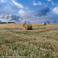 Buy canvas prints of Harvest Time in Duffus, Moray by Tom McPherson