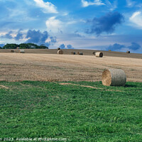 Buy canvas prints of Golden Harvest in Duffus, Moray by Tom McPherson