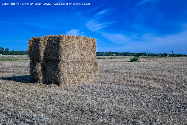 Bucolic Harvest Portrait Picture Board by Tom McPherson