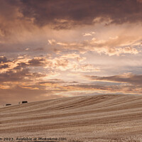Buy canvas prints of Golden Twilight Over Harvested Fields by Tom McPherson