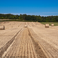 Buy canvas prints of Harvest's Golden Bounty by Tom McPherson